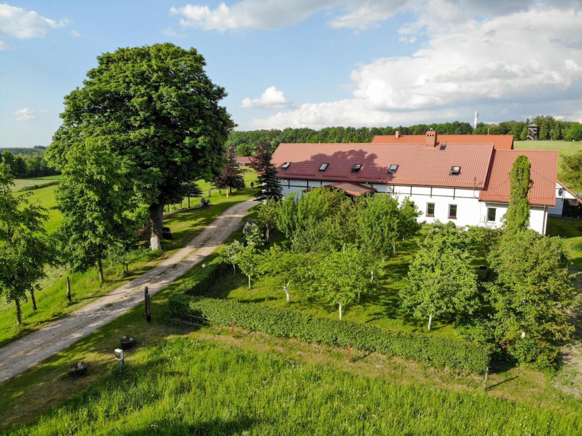 Dylewianka Villa Wysoka Wieś Eksteriør billede